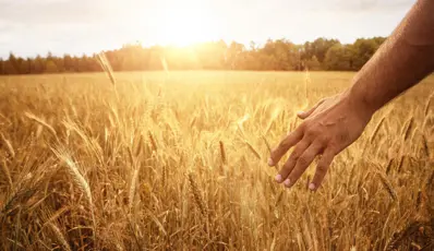 Are the SDGs having any meaningful impact on business practices?