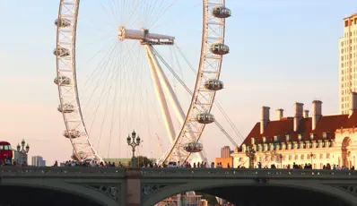 Beyondly co-sponsor Net Zero Week parliamentary drinks reception at the Palace of Westminster