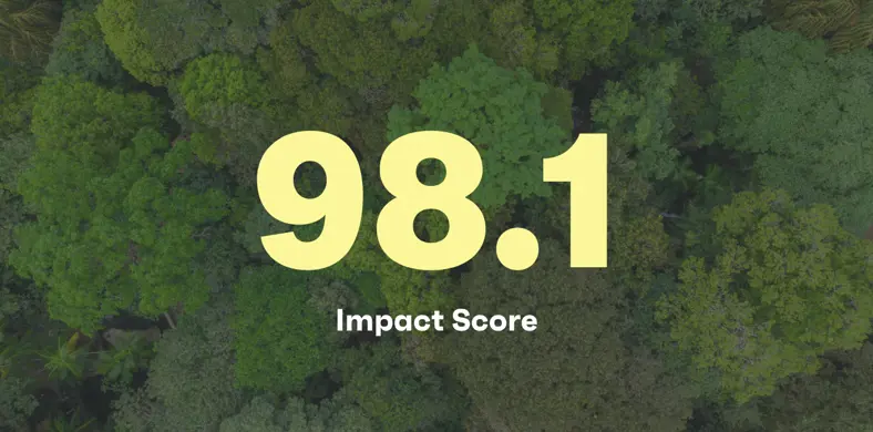 Impact Score.png