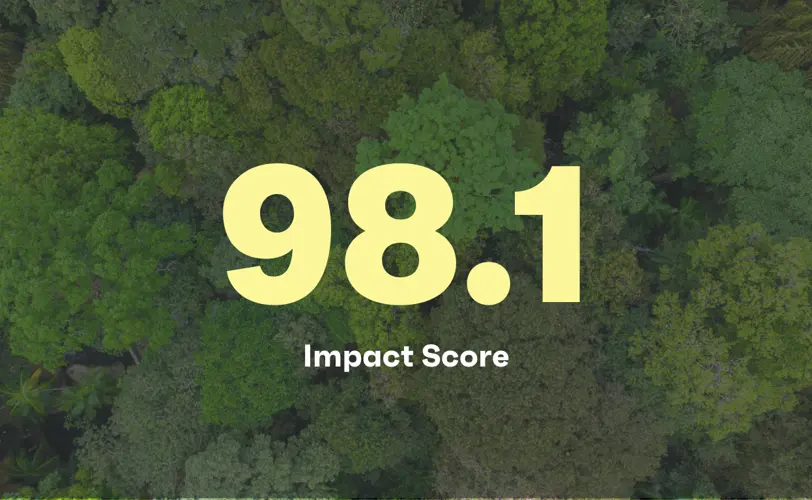 981 1