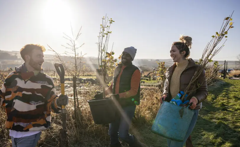 Three people tree planting. Two people carrying young trees and one person carrying a shovel. Sun shining. 