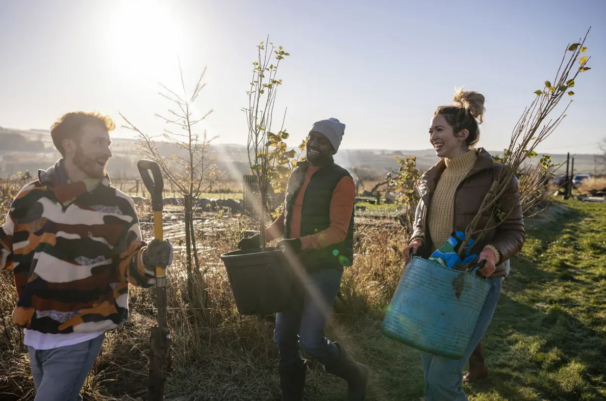 Three people tree planting. Two people carrying young trees and one person carrying a shovel. Sun shining. 