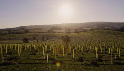 Beyondly Supports Aire Resilience Company as Their Natural Flood Management Project Launches