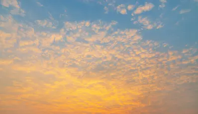 Beyondly Expands Policy Influence and Packaging EPR Capabilities