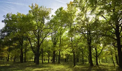 SBTi launches Corporate Net-Zero Standard Version 2.0: What businesses need to know