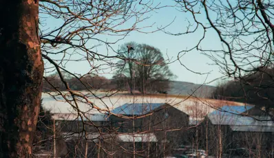 Beyondly-estate-panoramic
