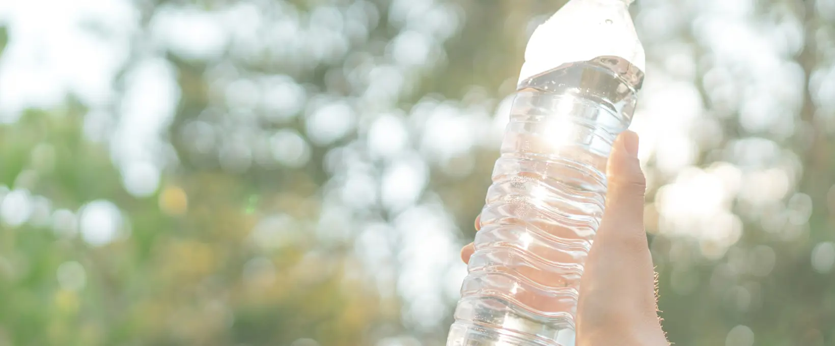 Someone holding up a plastic bottle
