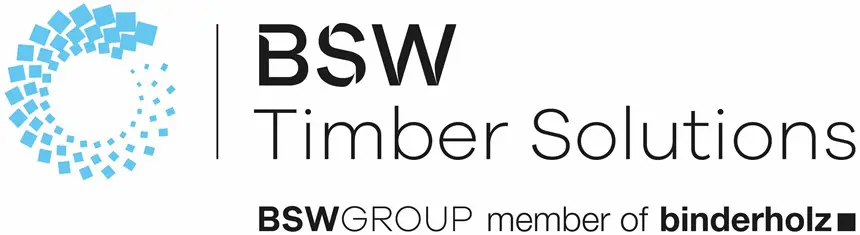 Bswts Logo