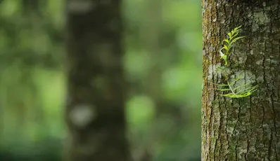 Does your sustainability strategy allow your business to excel?