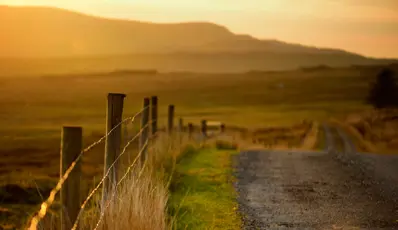 Rural road with fence at sunset 