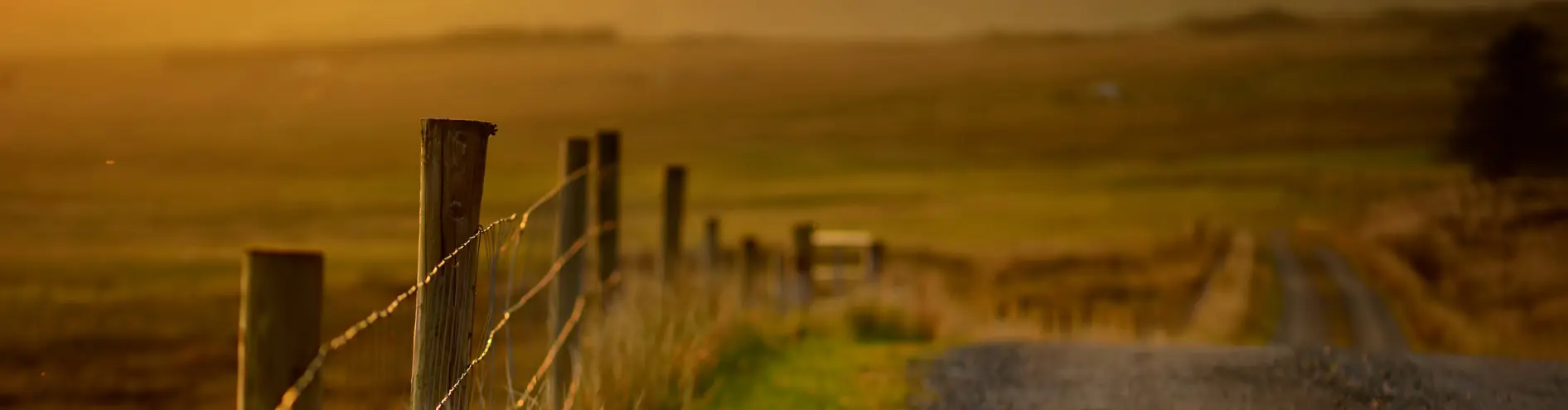 Rural road with fence at sunset 