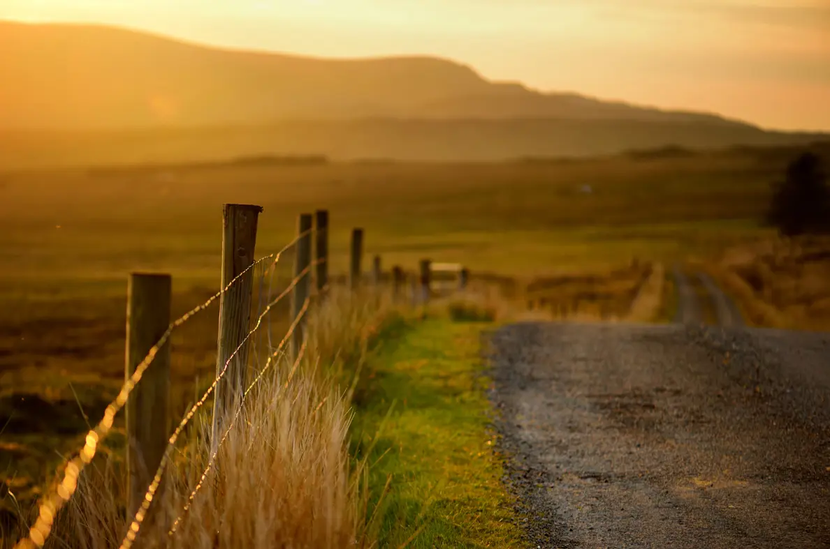 Rural road with fence at sunset 