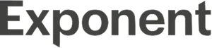 Exponent Logo Brown