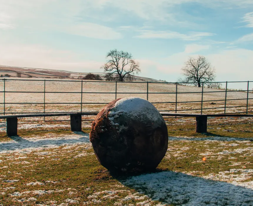 Beyondly-frost-sphere-portrait